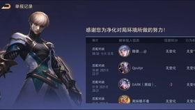 aov先行服最新爆料,揭秘游戏新玩法与神秘更新内容